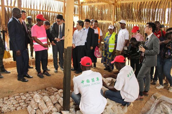 La formation de la culture du champignon JUNCAO lancée à la cité de David